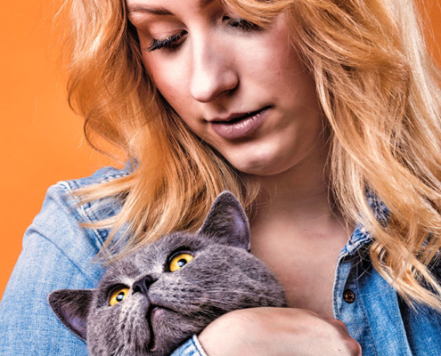 Katzenfotografie British Shorthair und Frau